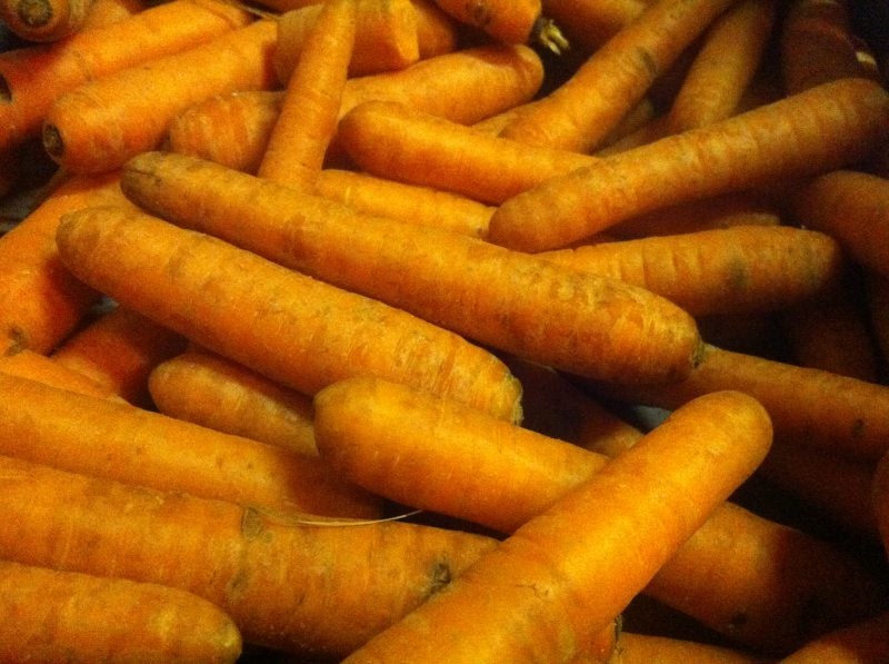 vlaamse reus - wortels